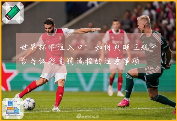 世界杯下注入口：如何判断正规平台与体彩竞猜流程的注意事项