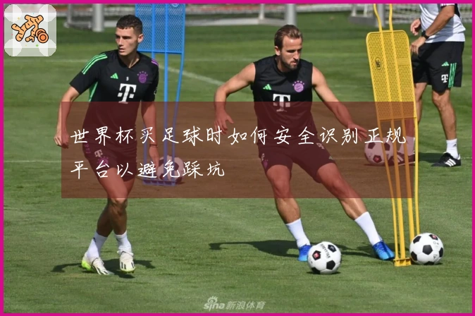 世界杯买足球时如何安全识别正规平台以避免踩坑