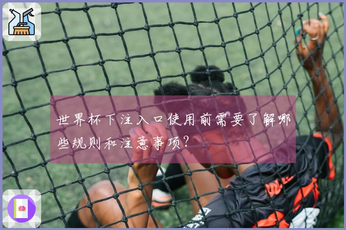 世界杯下注入口使用前需要了解哪些规则和注意事项？