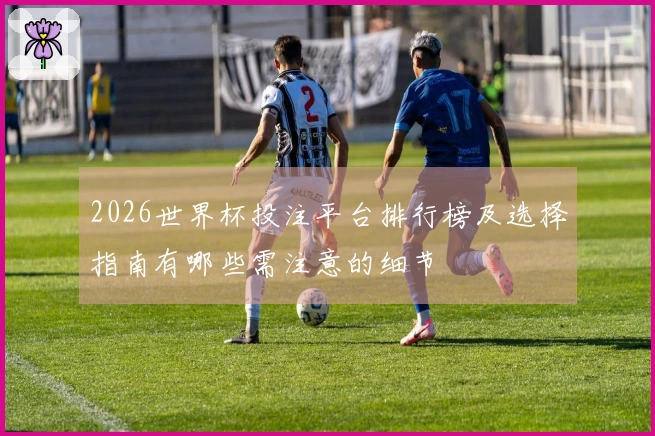 2026世界杯投注平台排行榜及选择指南有哪些需注意的细节