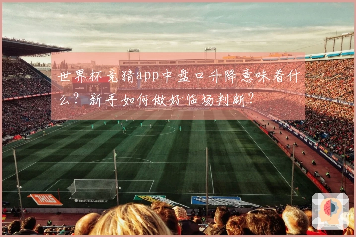 世界杯竞猜app中盘口升降意味着什么？新手如何做好临场判断？