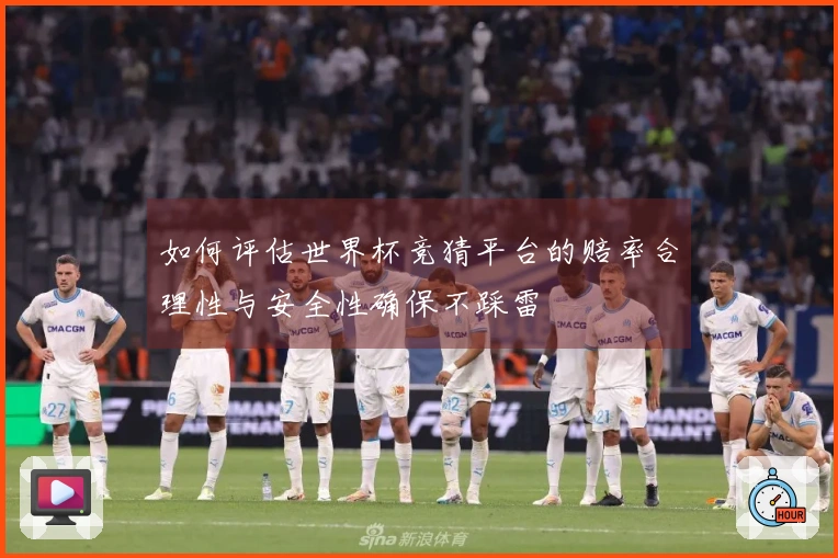 如何评估世界杯竞猜平台的赔率合理性与安全性确保不踩雷