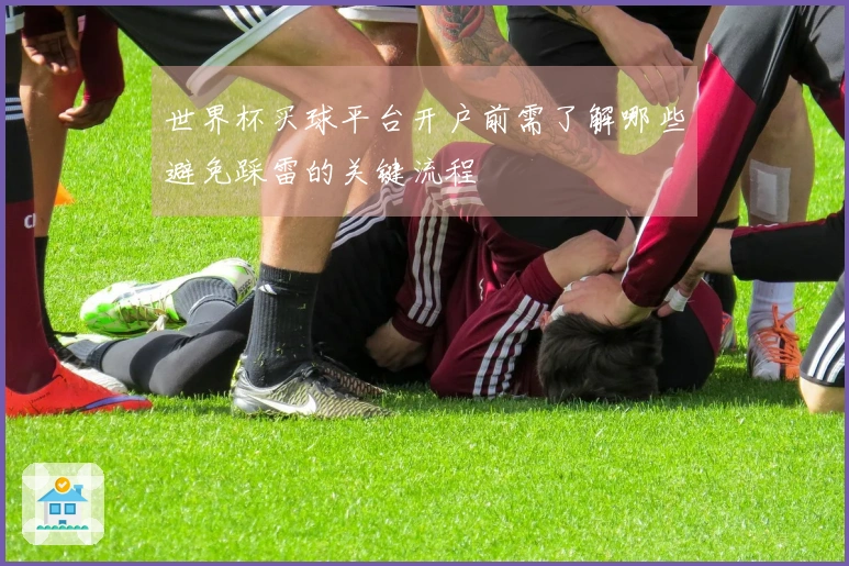 世界杯买球平台开户前需了解哪些避免踩雷的关键流程