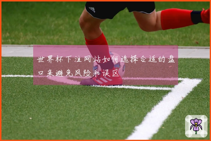 世界杯下注网站如何选择合适的盘口来避免风险和误区