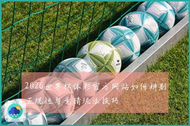 2026世界杯体彩官方网站如何辨别正规性与竞猜玩法技巧
