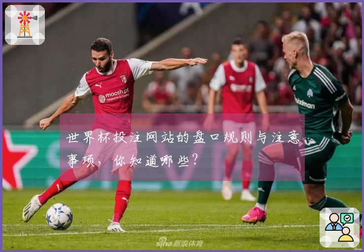 世界杯投注网站的盘口规则与注意事项，你知道哪些？