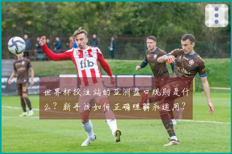 世界杯投注站的亚洲盘口规则是什么？新手该如何正确理解和运用？