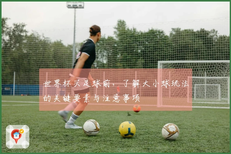 世界杯买足球前，了解大小球玩法的关键要素与注意事项