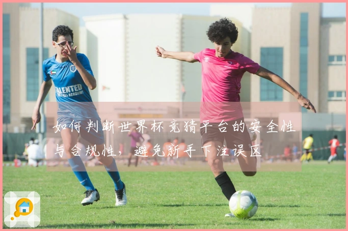 如何判断世界杯竞猜平台的安全性与合规性，避免新手下注误区