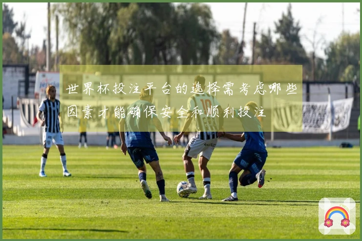 世界杯投注平台的选择需考虑哪些因素才能确保安全和顺利投注
