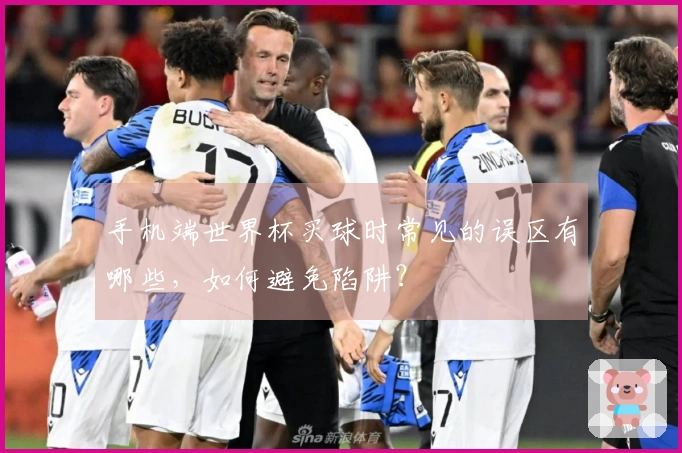 手机端世界杯买球时常见的误区有哪些，如何避免陷阱？
