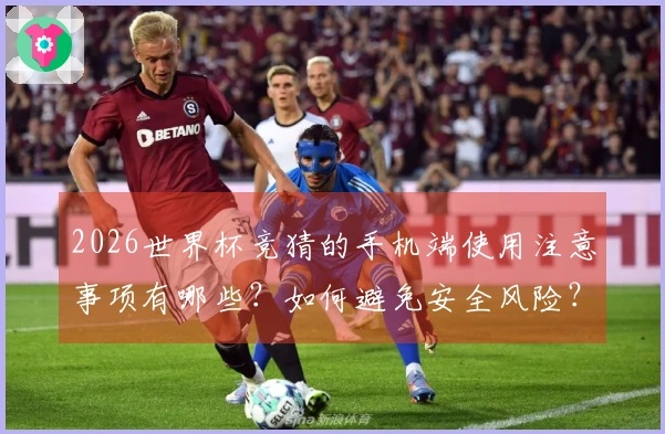 2026世界杯竞猜的手机端使用注意事项有哪些？如何避免安全风险？