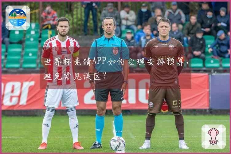 世界杯竞猜APP如何合理安排预算，避免常见误区？