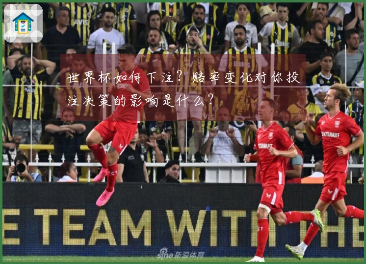 世界杯如何下注？赔率变化对你投注决策的影响是什么？