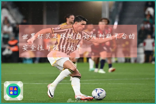 世界杯买足球时应如何判断平台的安全性与技巧边界