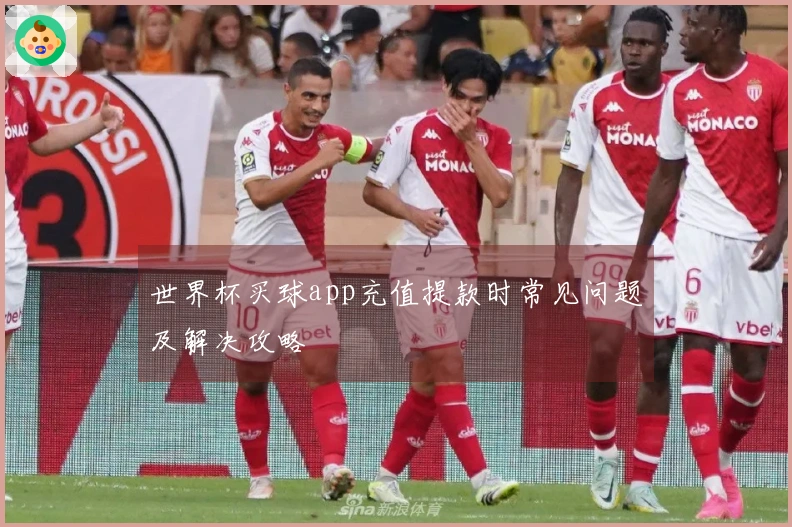 世界杯买球app充值提款时常见问题及解决攻略