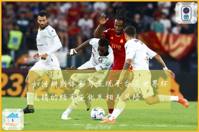 如何辨别体彩与正规平台买世界杯竞猜的赔率变化及相关风险