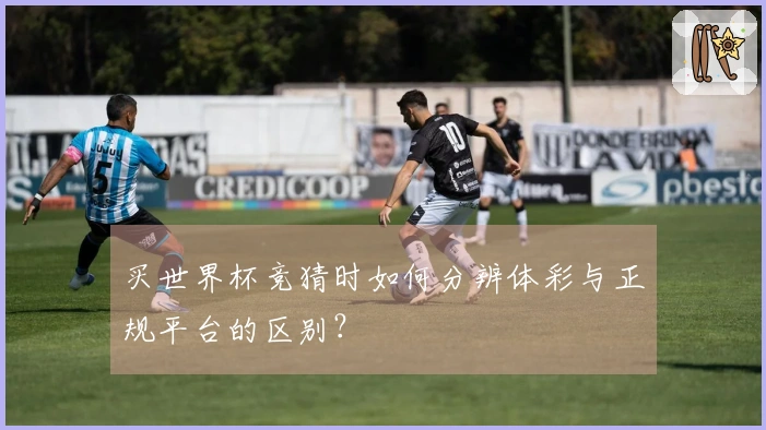 买世界杯竞猜时如何分辨体彩与正规平台的区别？