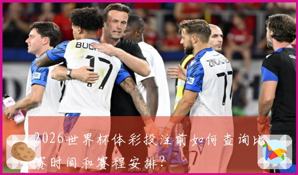 2026世界杯体彩投注前如何查询比赛时间和赛程安排？