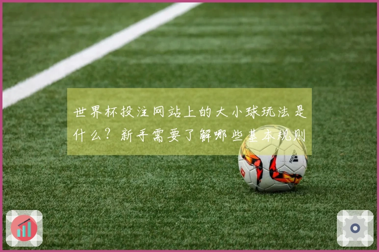 世界杯投注网站上的大小球玩法是什么？新手需要了解哪些基本规则和技巧？