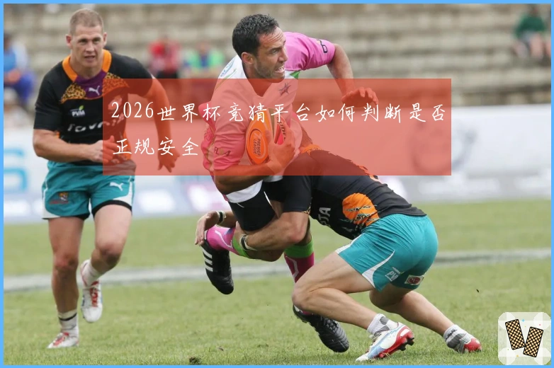 2026世界杯竞猜平台如何判断是否正规安全