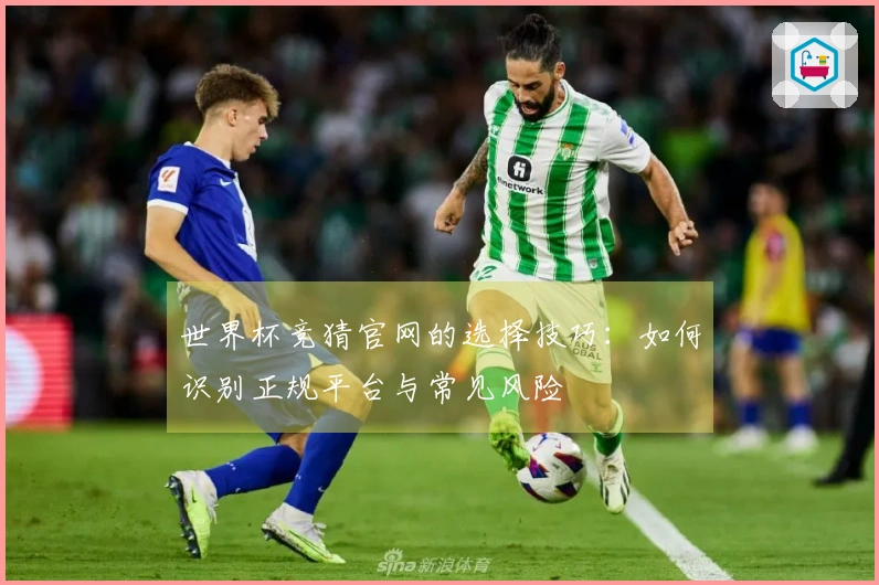 世界杯竞猜官网的选择技巧：如何识别正规平台与常见风险