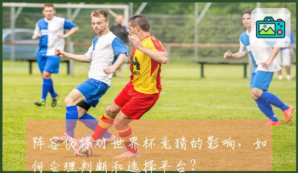 阵容伤停对世界杯竞猜的影响，如何合理判断和选择平台？
