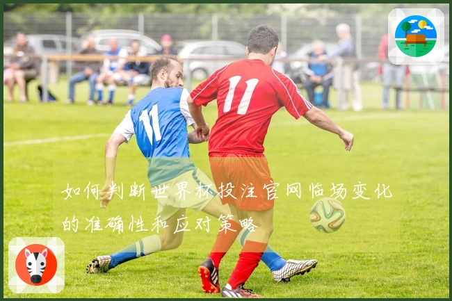 如何判断世界杯投注官网临场变化的准确性和应对策略