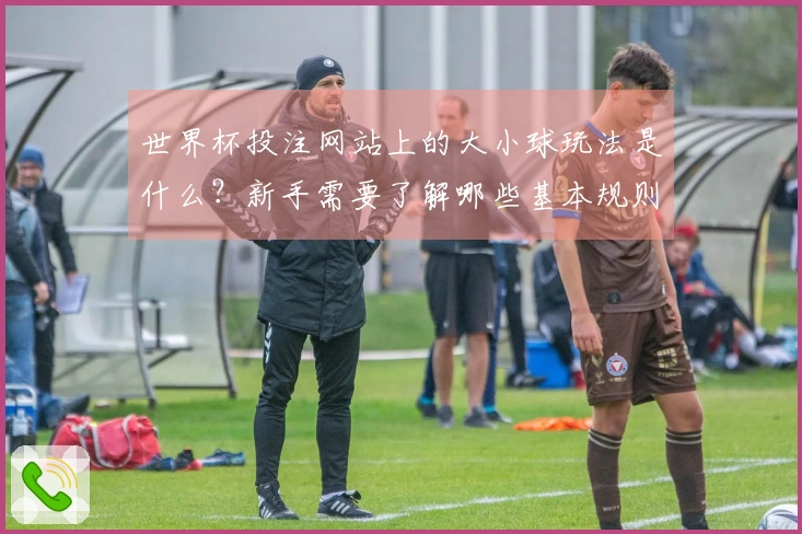 世界杯投注网站上的大小球玩法是什么？新手需要了解哪些基本规则和技巧？