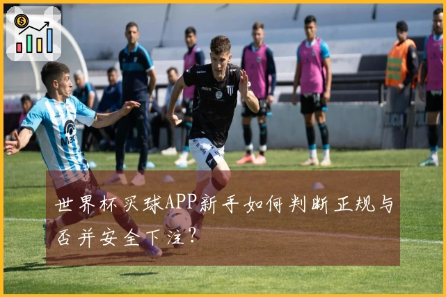 世界杯买球APP新手如何判断正规与否并安全下注？