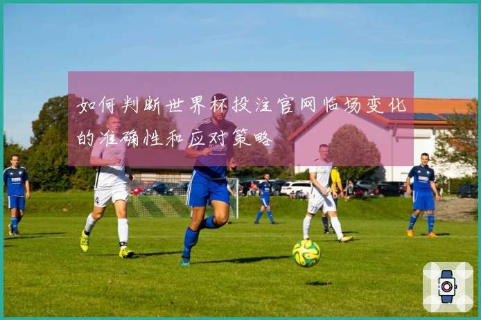 如何判断世界杯投注官网临场变化的准确性和应对策略