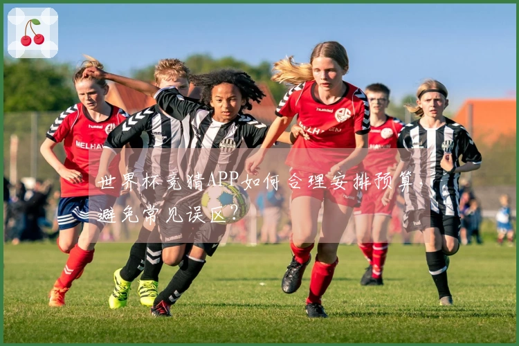 世界杯竞猜APP如何合理安排预算，避免常见误区？