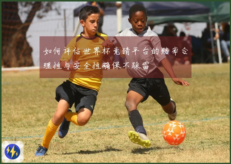 如何评估世界杯竞猜平台的赔率合理性与安全性确保不踩雷