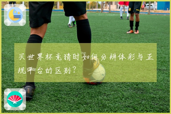买世界杯竞猜时如何分辨体彩与正规平台的区别？