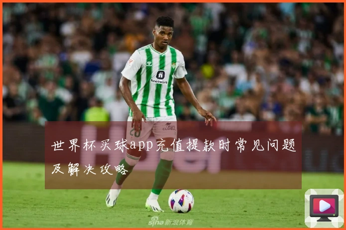 世界杯买球app充值提款时常见问题及解决攻略