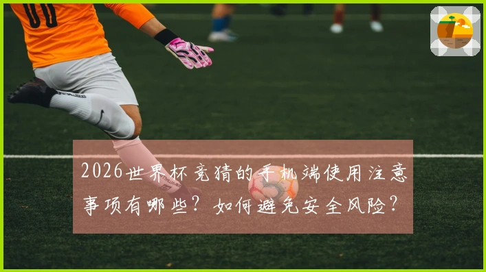 2026世界杯竞猜的手机端使用注意事项有哪些？如何避免安全风险？